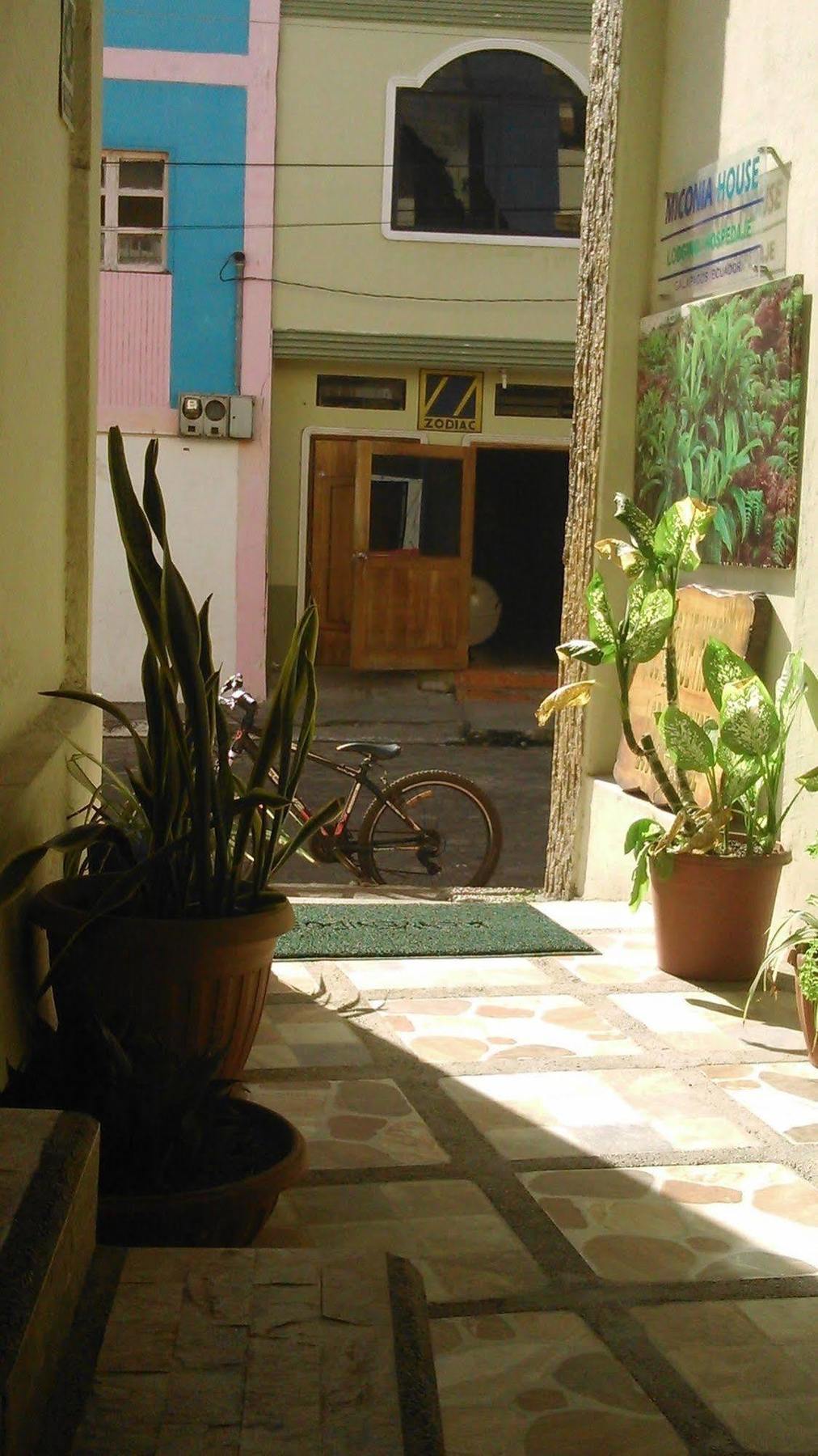 Hostal Miconia ปูแอร์โตอาโยรา ภายนอก รูปภาพ