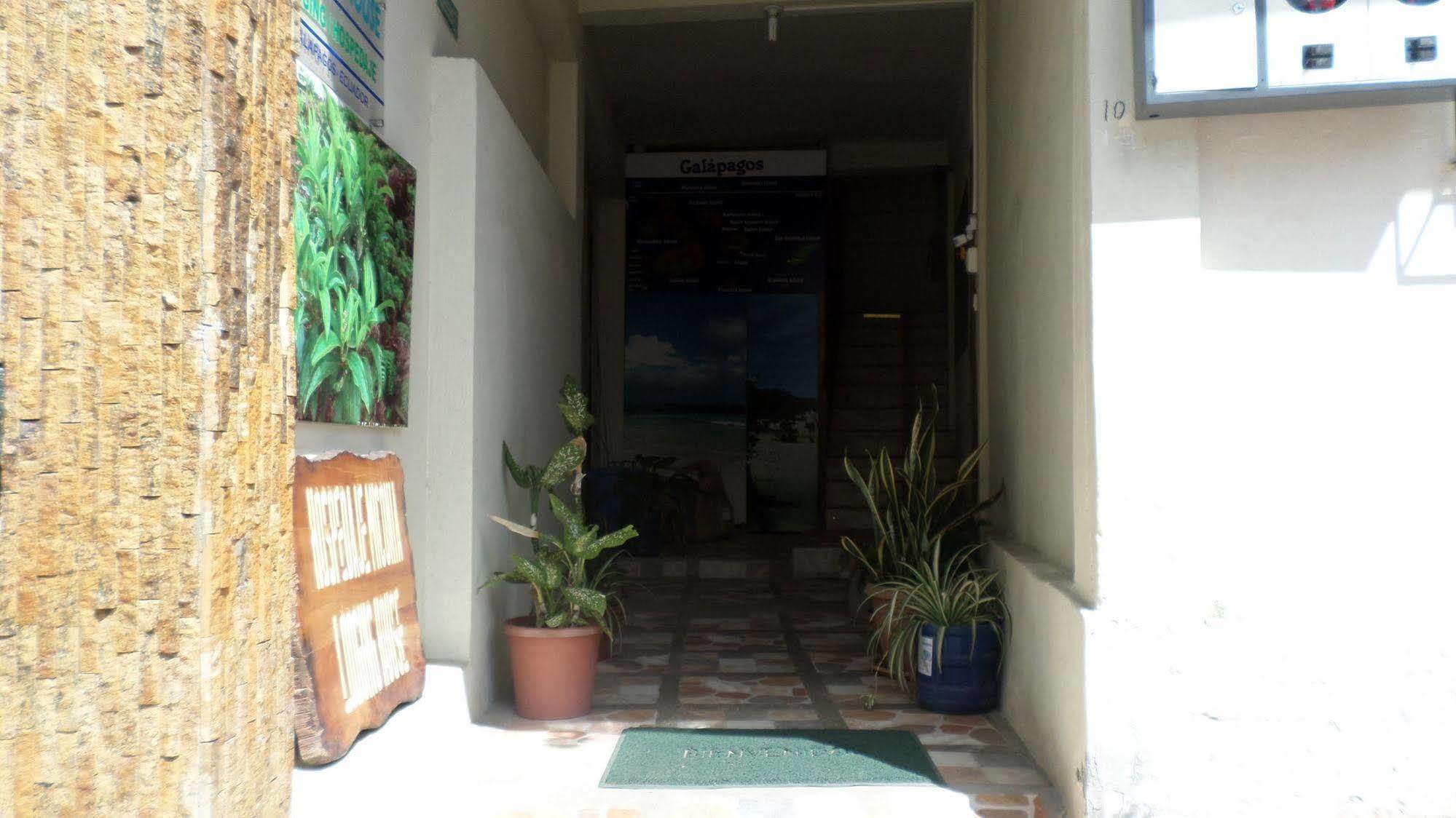 Hostal Miconia ปูแอร์โตอาโยรา ภายนอก รูปภาพ